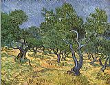 Olive grove I by Vincent van Gogh